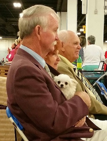 Exhibitors waiting ringside